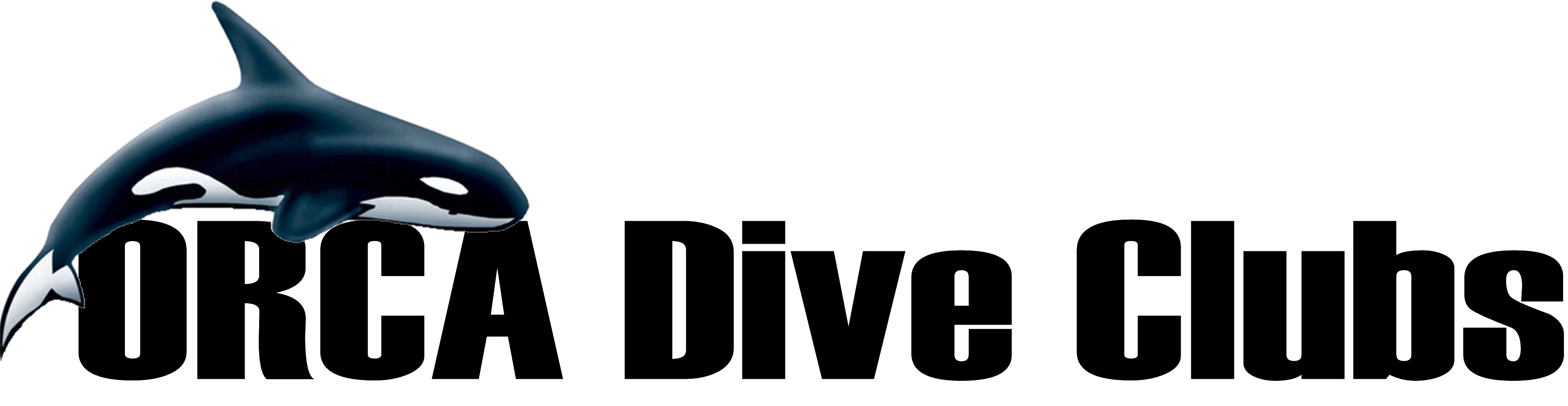 Orca Dive Club