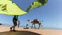 El Gouna, Kite-People, Strand mit Kite und Kamel