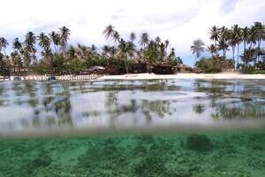 Derawan Dive Lodge