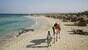 Marsa Alam - Shams Alam, Kamel am Strand