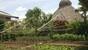 Tobago - Kariwak Village, Kräutergarten Garden Cabanas