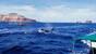 Baja California - The Cortez Club - Orca beim Whalewatching