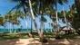 Nicaragua - Little Corn Island - Beach and Bungalow - Palmen