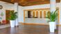 Cabarete - Viva Wyndham Tangerine, Lobby und Empfang